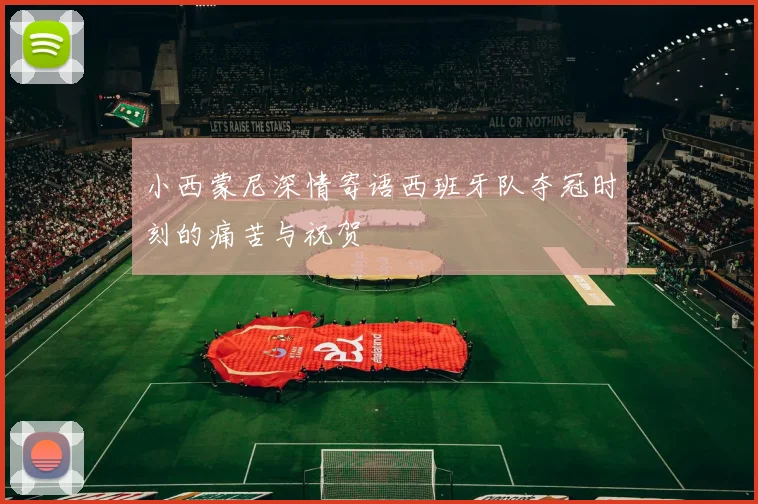 小西蒙尼深情寄语西班牙队夺冠时刻的痛苦与祝贺